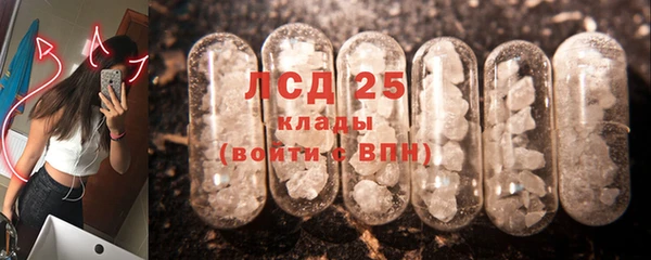 spice Беломорск