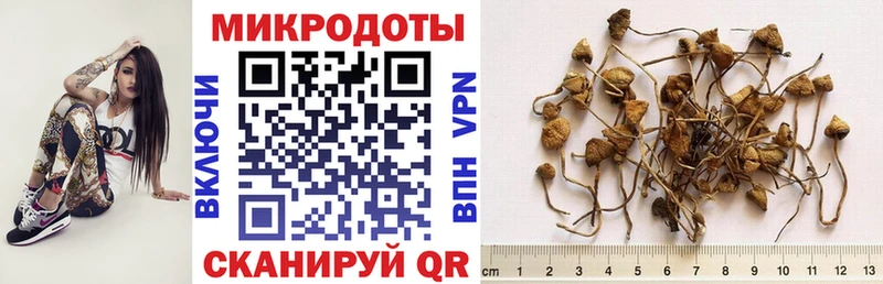 мориарти наркотические препараты  Белоозёрский  Галлюциногенные грибы мицелий 