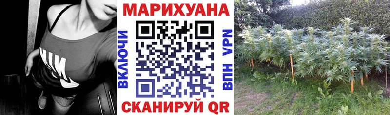 Шишки марихуана планчик  Белоозёрский 